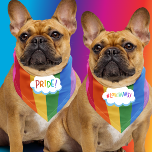 PRIDE Dog Pet Human Rainbow Bandana